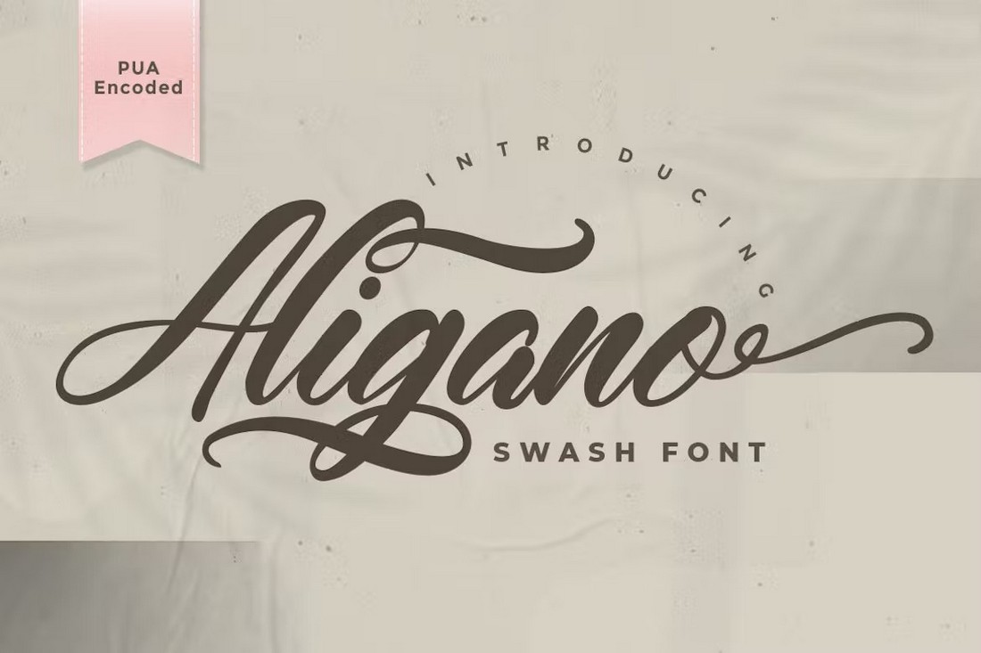 Aligano - Creative Swash Font