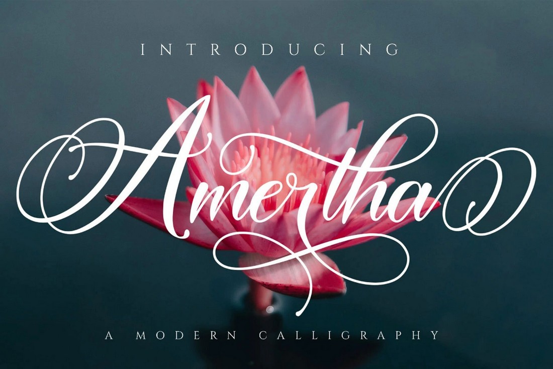 Amertha - Free Swash Font with Stylish Tails