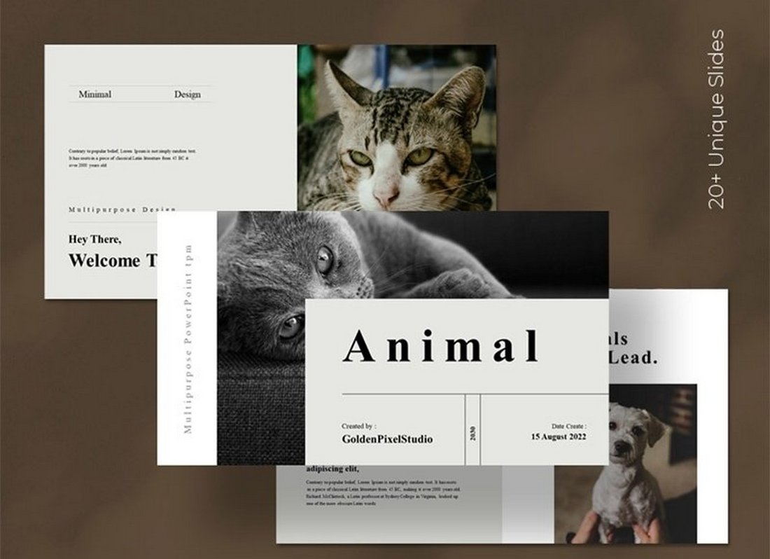 Animal - Free Photography Animated Keynote Template