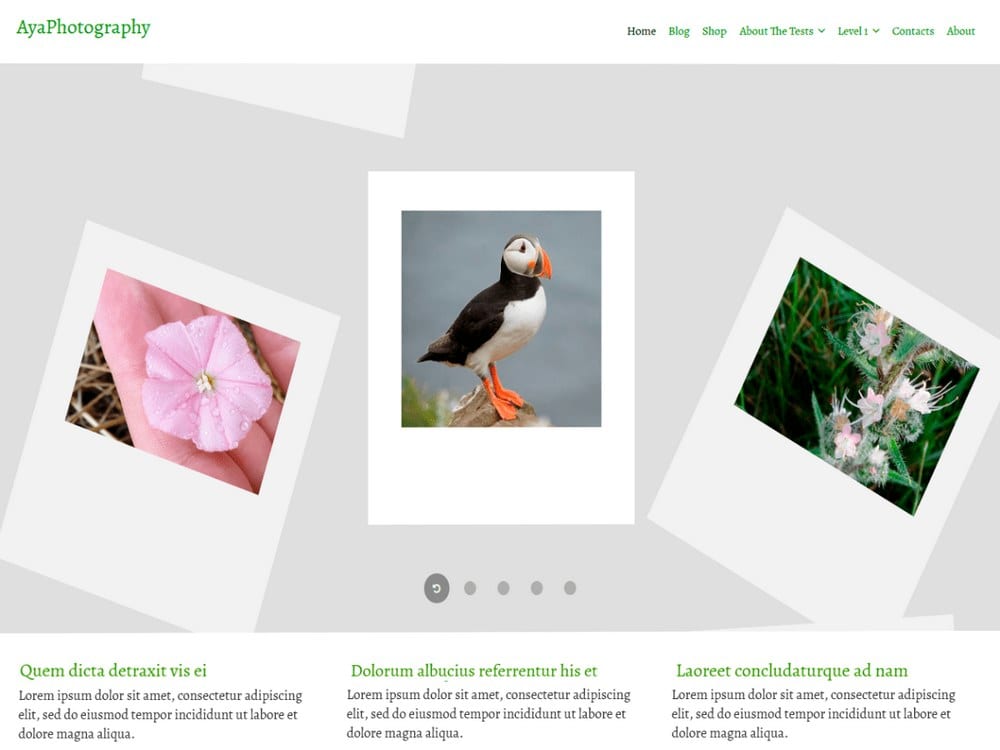 AyaPhotography - Free WordPress Photography Theme