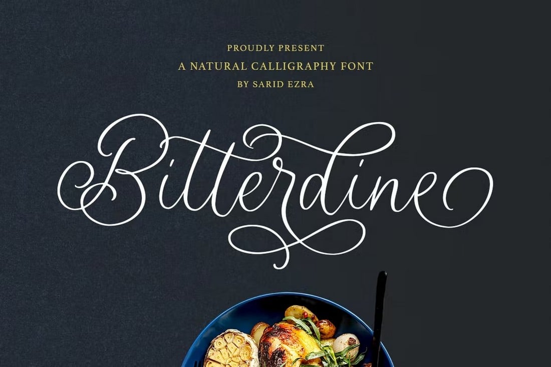 Bitterdine - Natural Calligraphy Swash Font