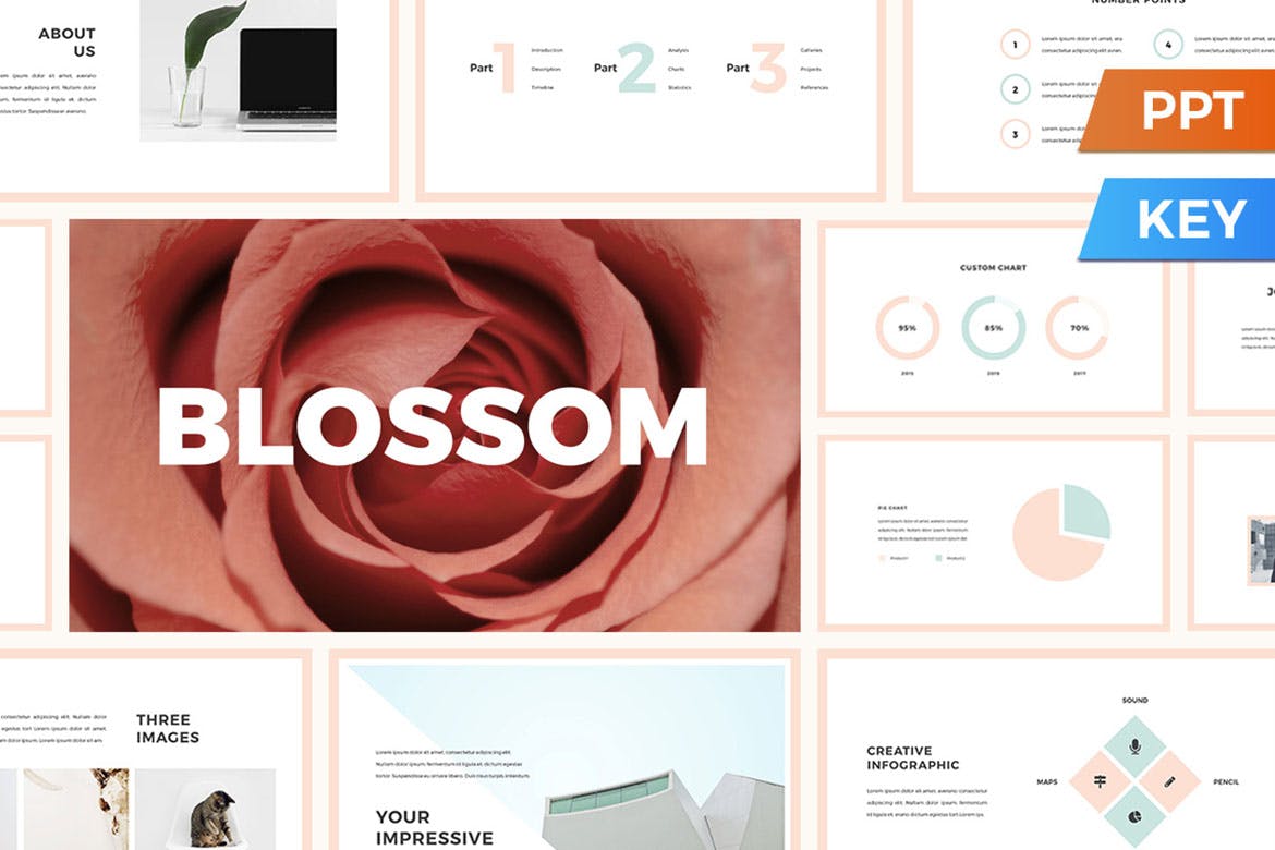 Blossom Presentation Template 