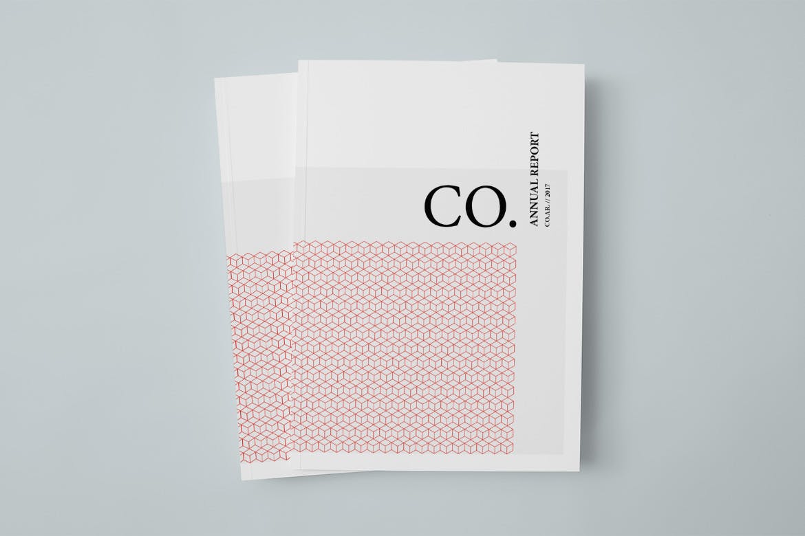 CO. Annual Report