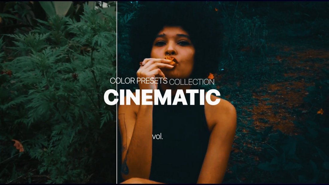 Cinematic Final Cut Pro Filters