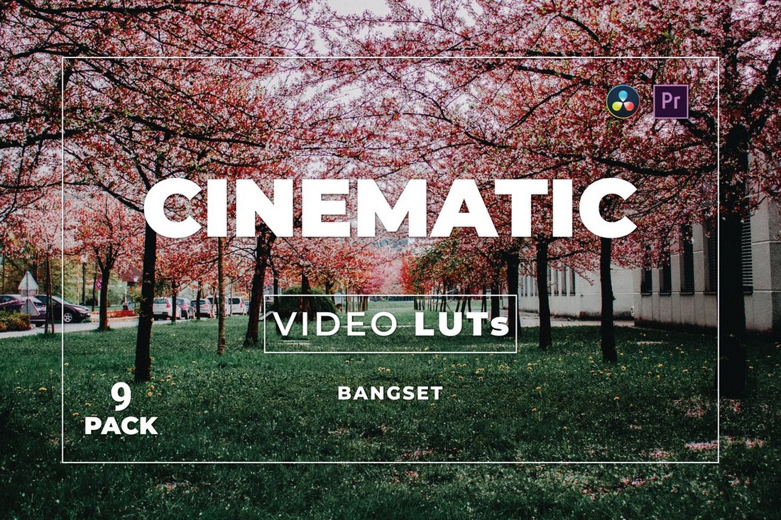 Cinematic Premiere Pro LUTs Bundle