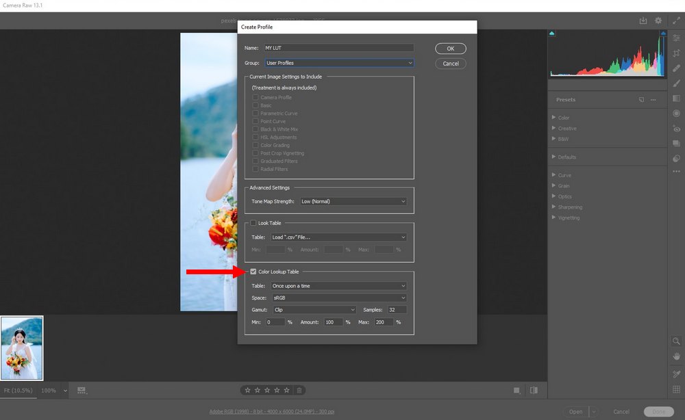 Create lut profile in RAW 3