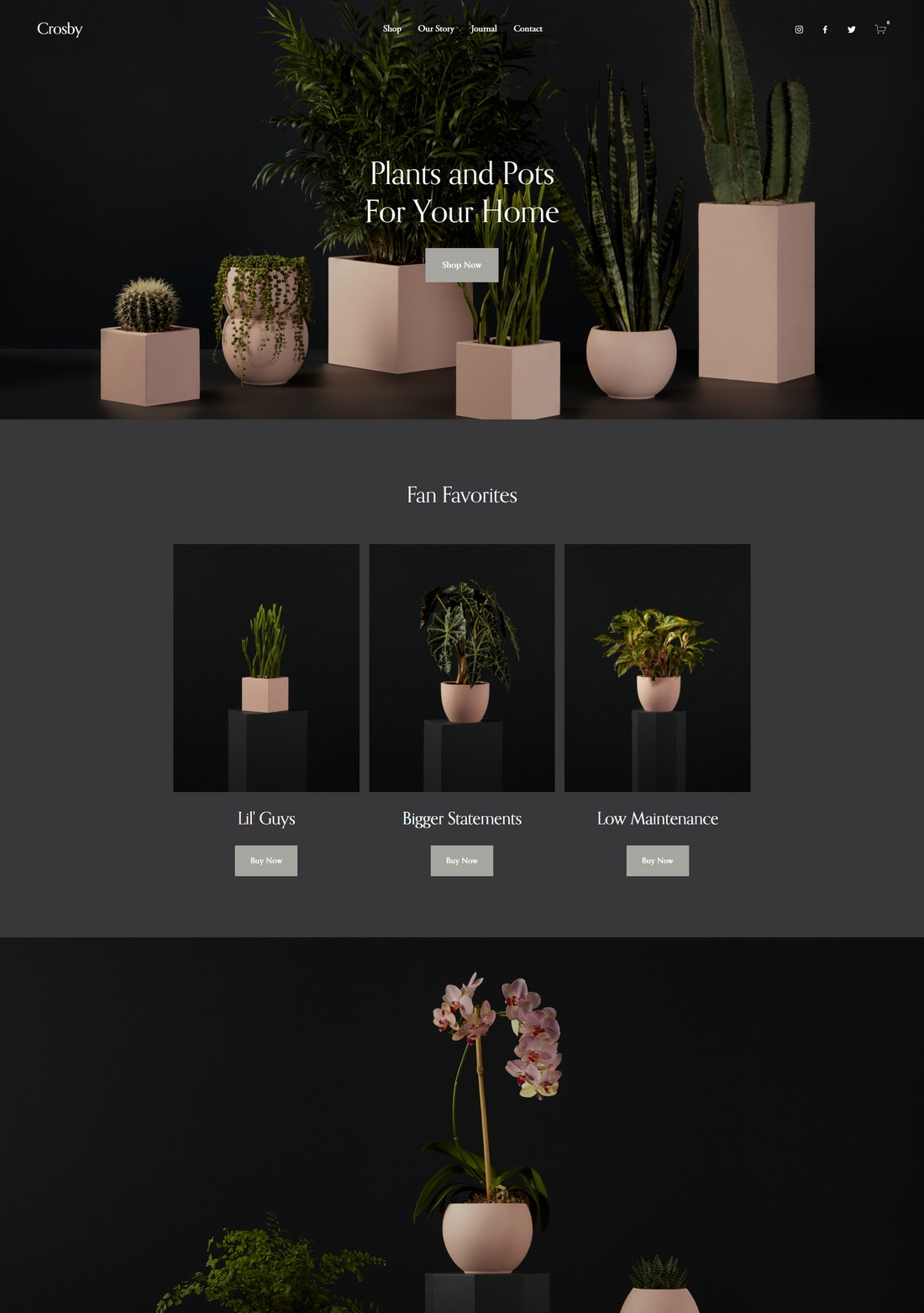 Crosby squarespace template