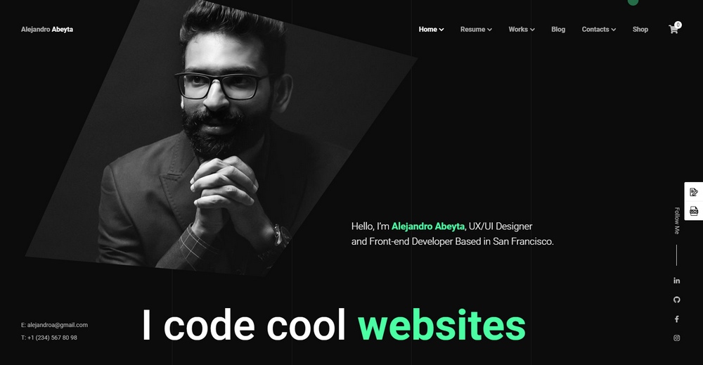 Cvio wp theme