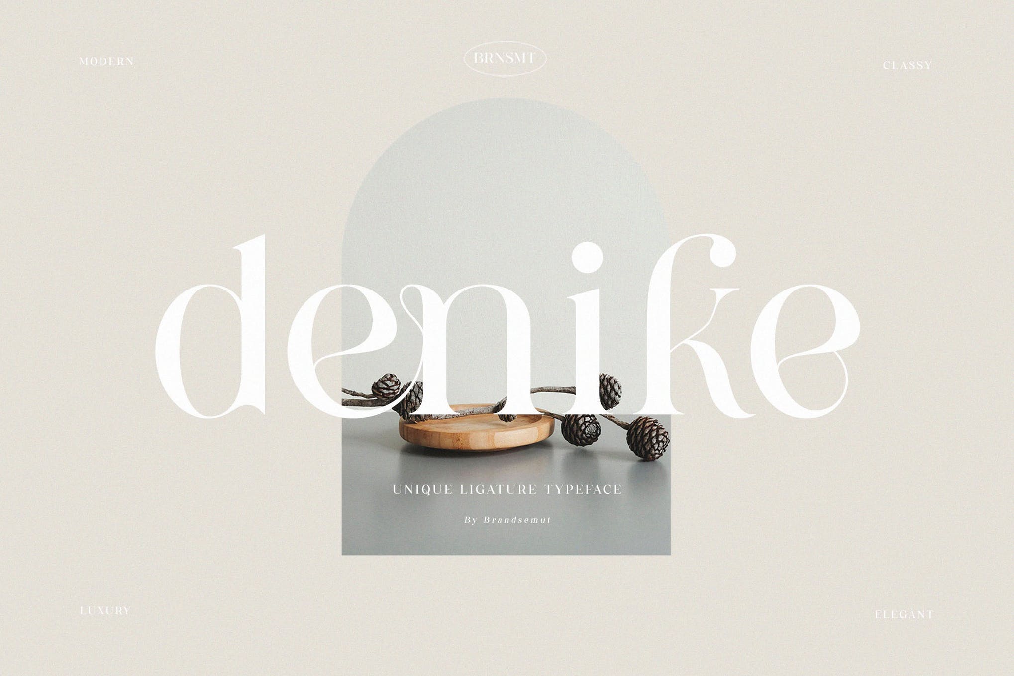 Denike - Stylish Modern Font