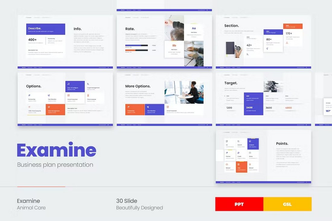 Examine - Business Plan Presentation Template