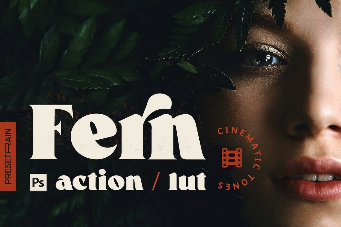 Fern - Portrait Action & LUT for Photoshop