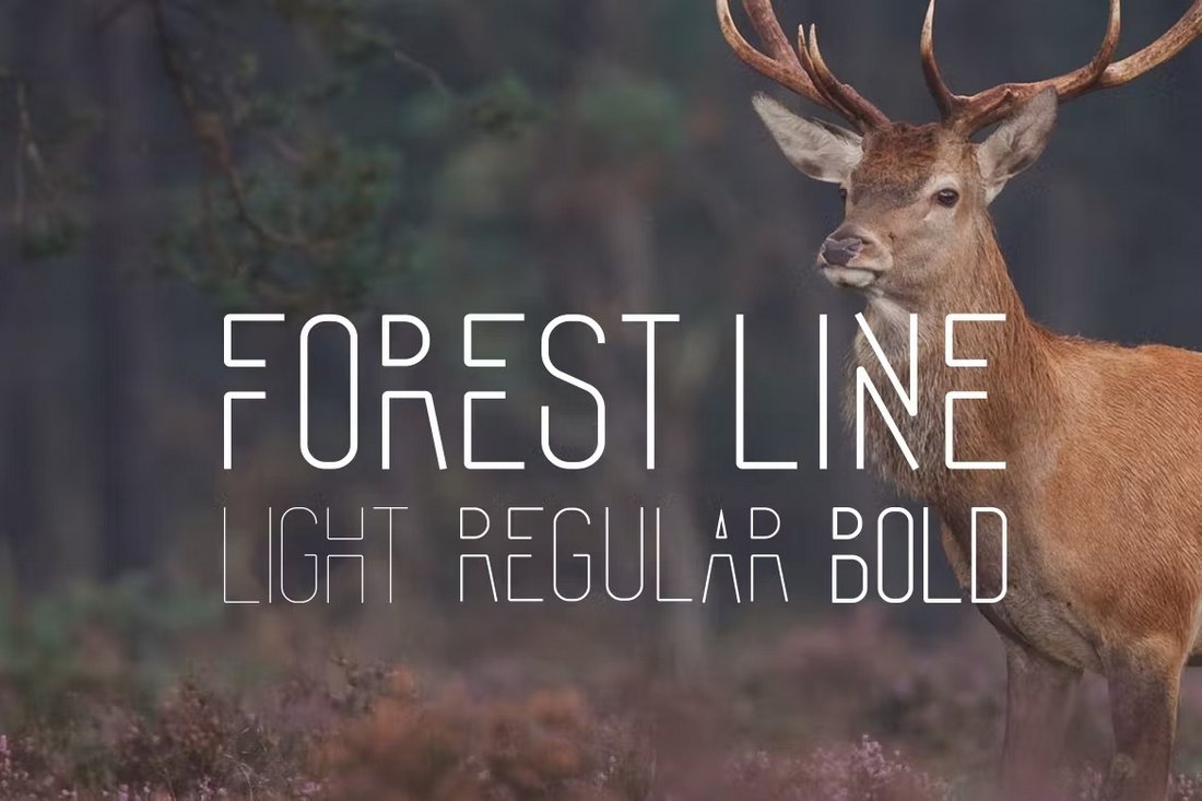 Forest Line - Condensed Monogram Font