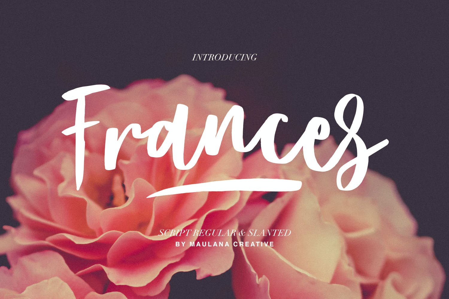 Frances Modern Font