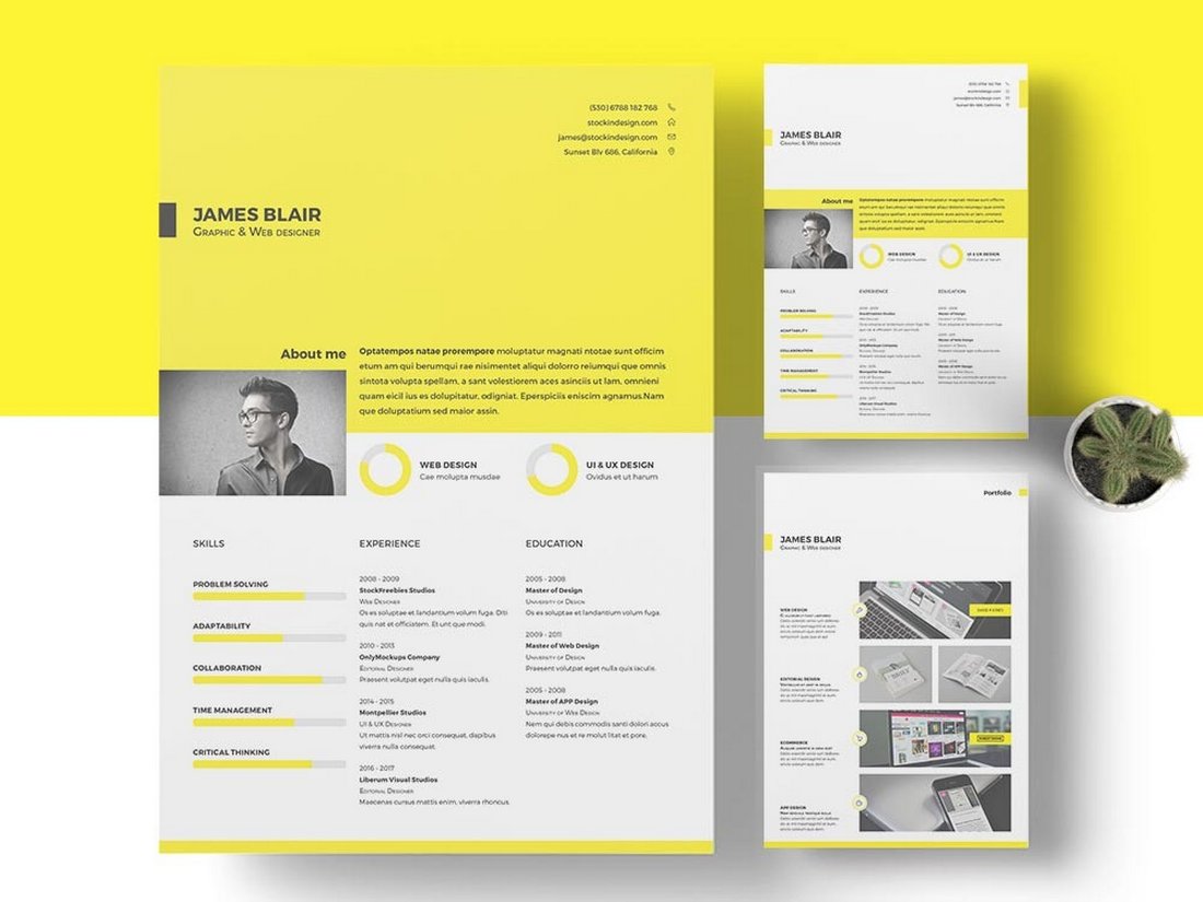 Free Minimal Resume Template