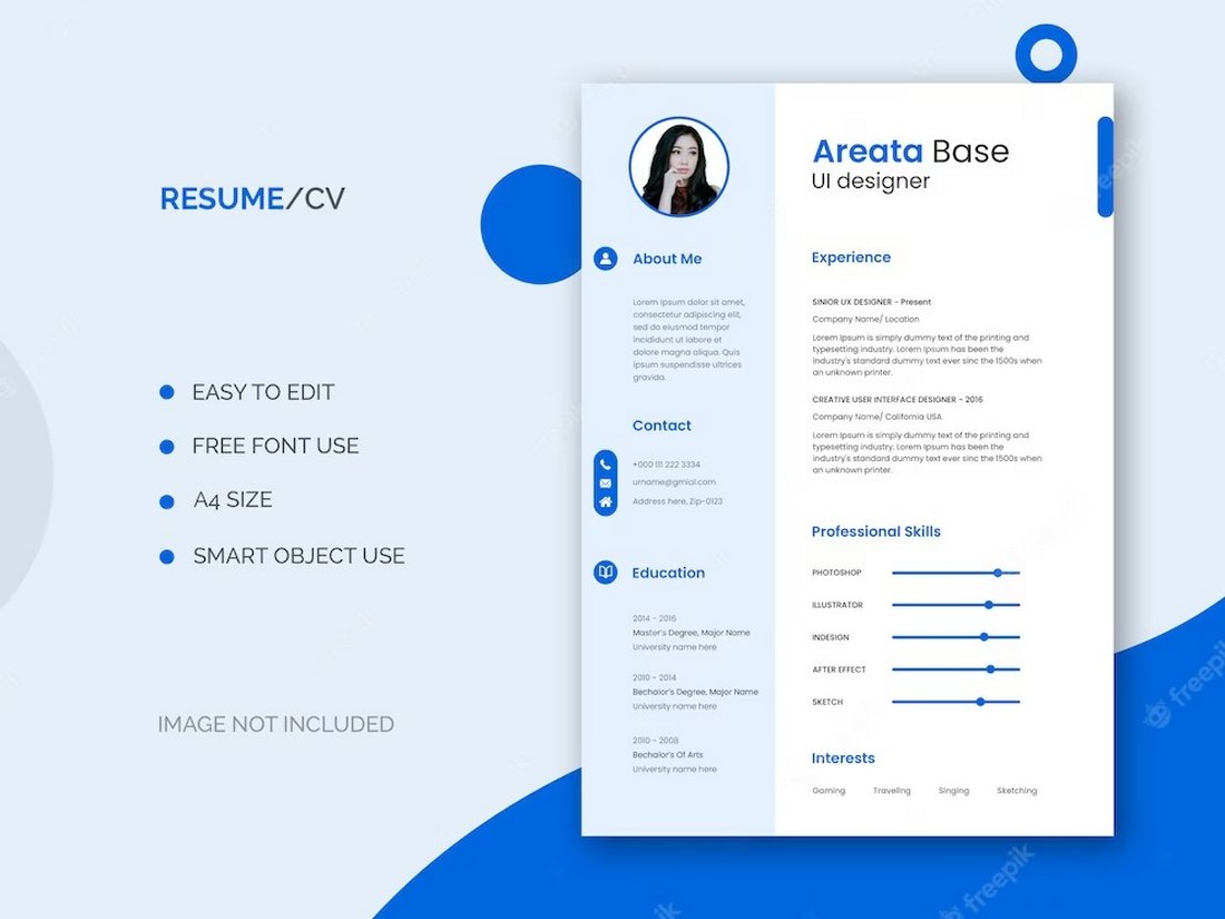 Free Professional Resume CV Template