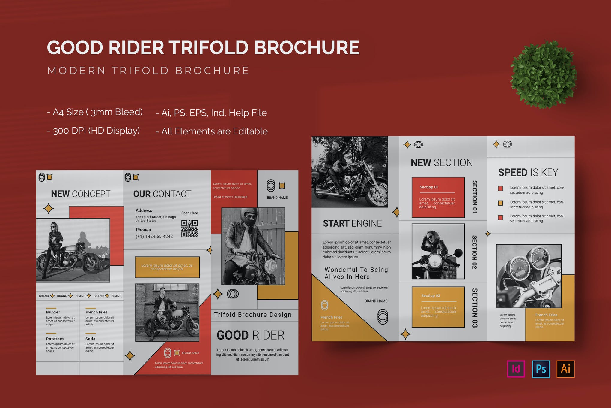 Good Rider - Trifold Brochure Template