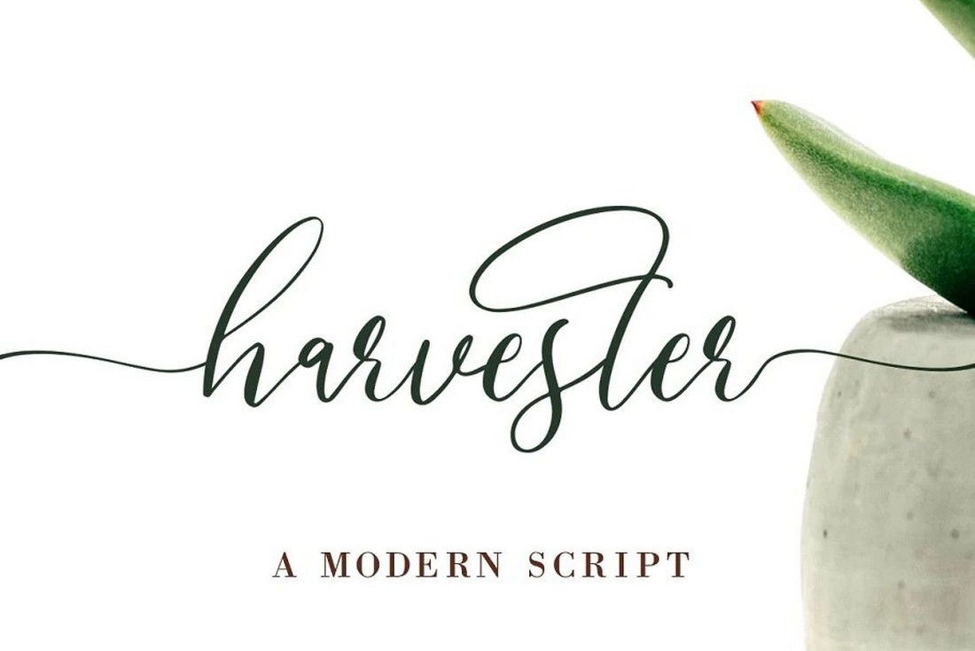 Harvester - Free Script Swash Font