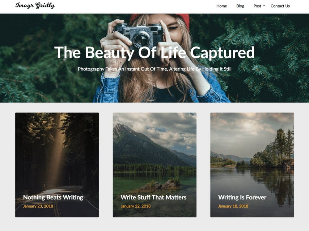 ImageGridly - Free WordPress Photography Theme