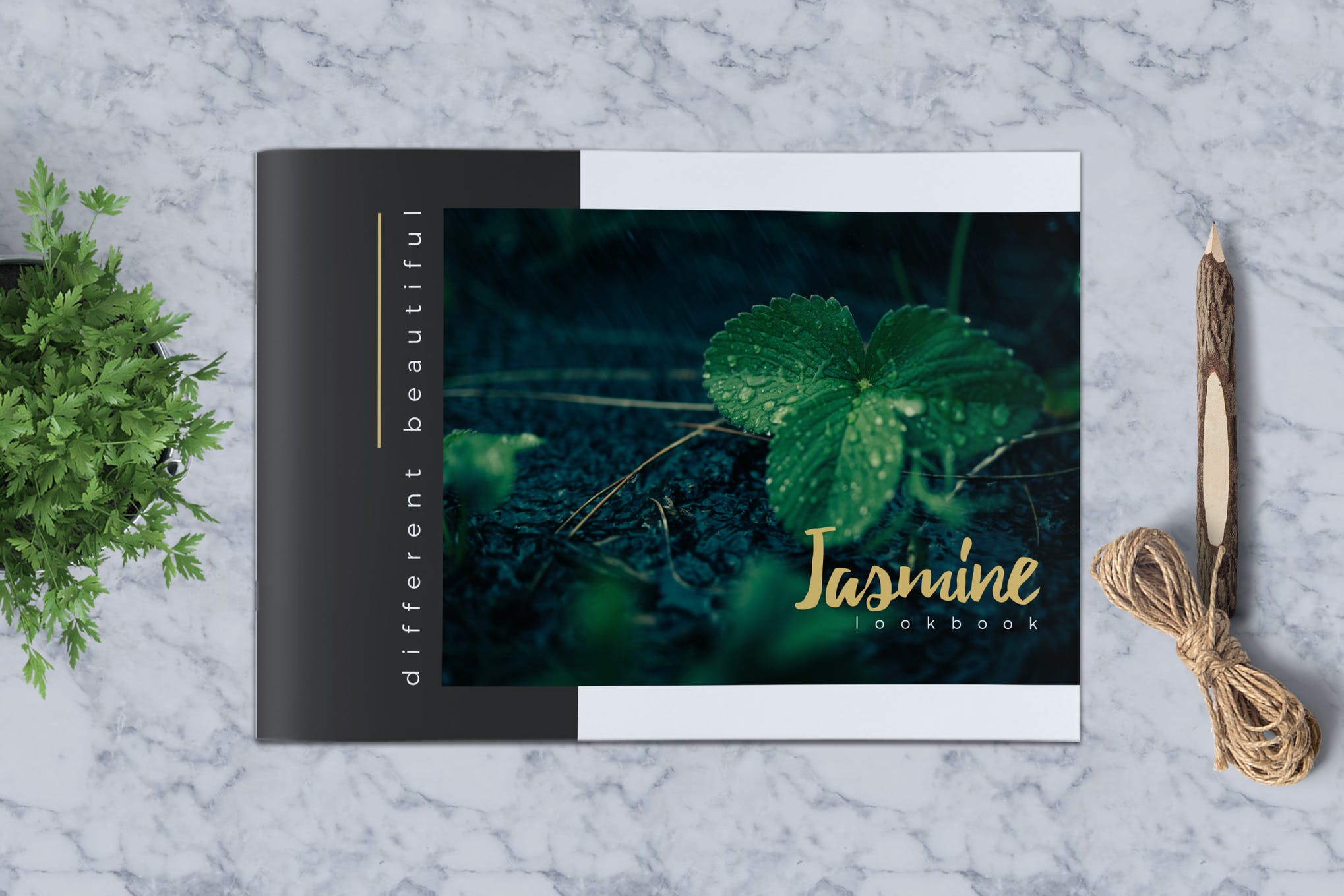 InDesign templat