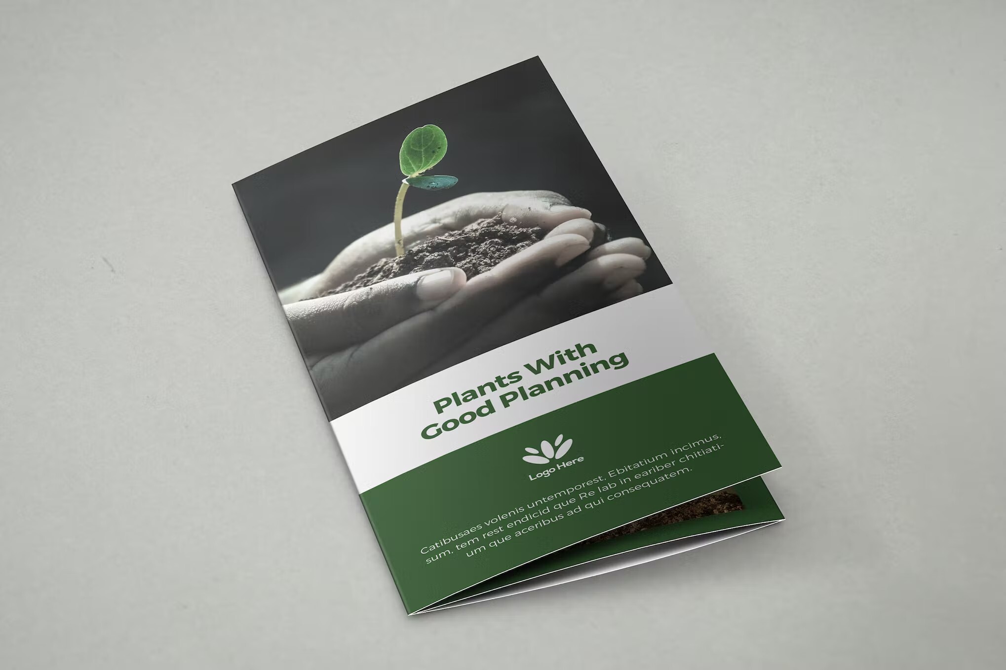 InDesign trifold brochure