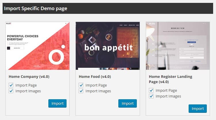 Kleo Theme Demo Import