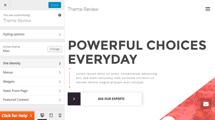Kleo Theme WordPress Customizer