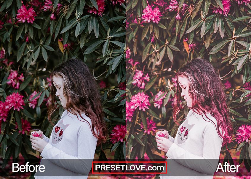 Matte Pink Lightroom Preset