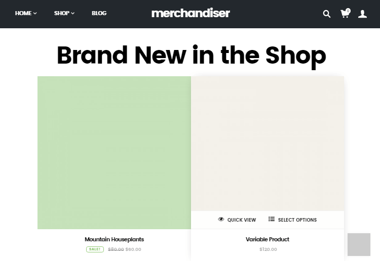 Merchandiser Review Demo Content