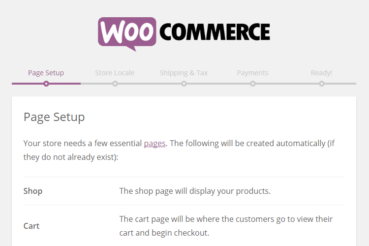 Merchandiser Review WooCommerce Setup