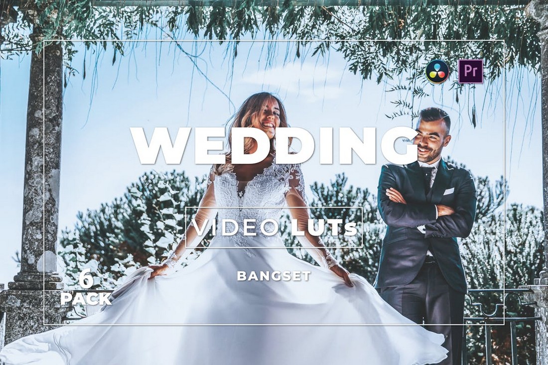 Modern Wedding Video LUTs Pack