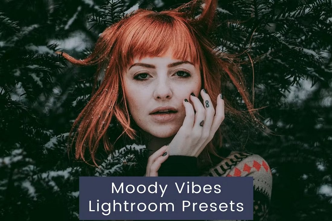 Moody Vibes Lightroom Presets