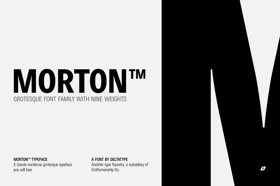 Morton - Grotesque Font Family for Business Cards