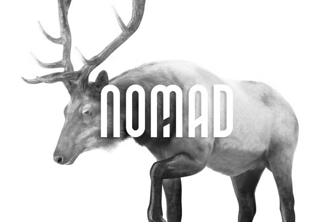 NOMAD - Modern Monogram Font