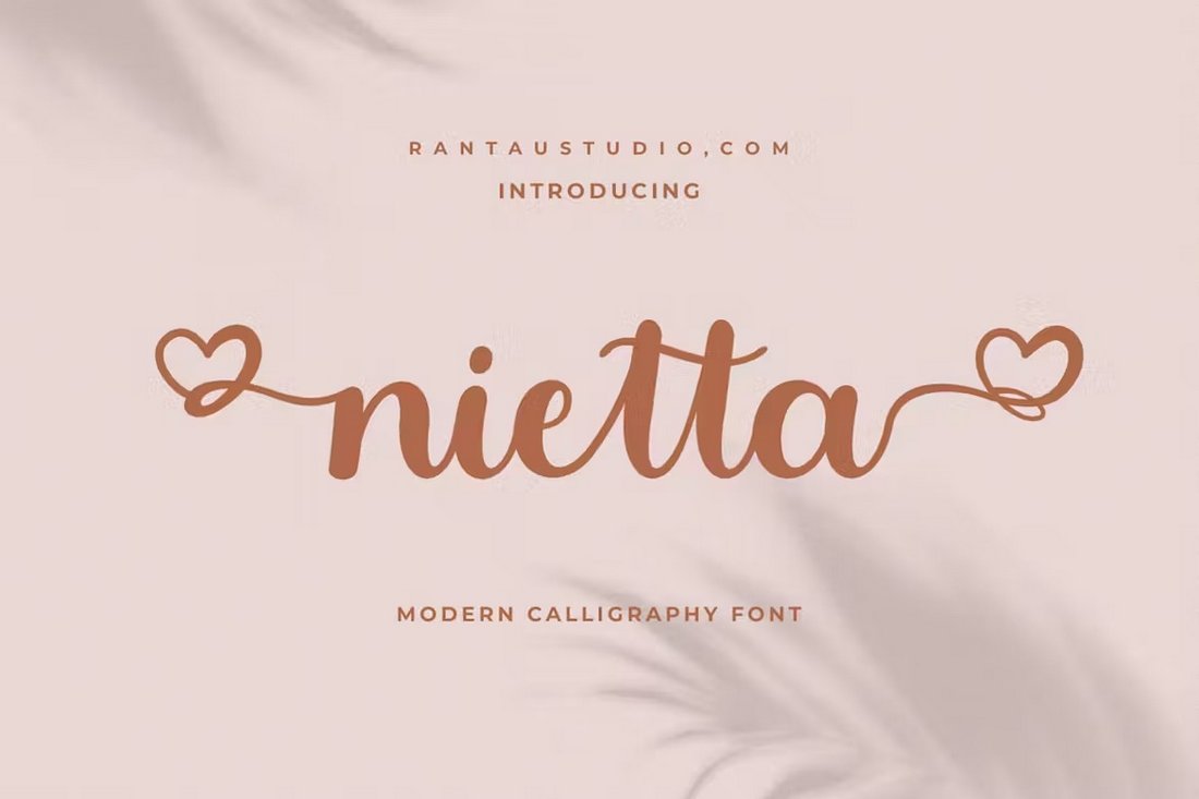 Nietta - Modern Calligraphy Script Font