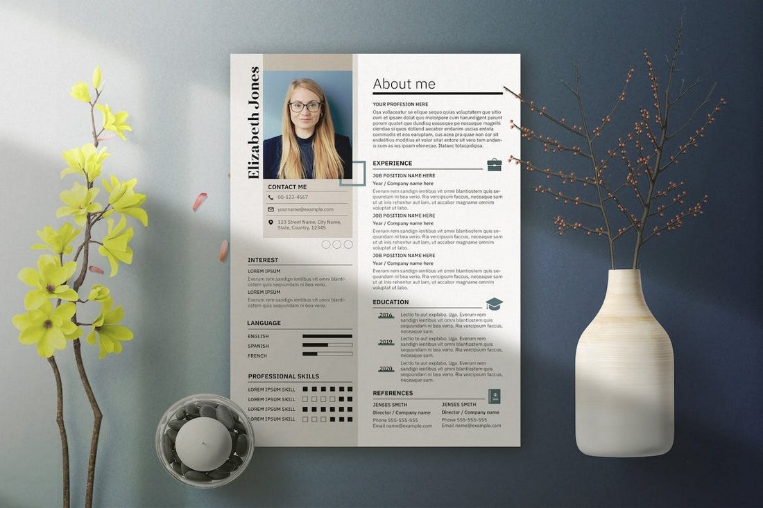 Professional CV Resume Template INDD