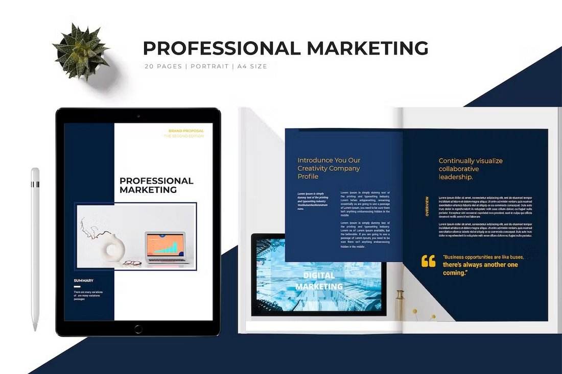 Professional Marketing Proposal Template