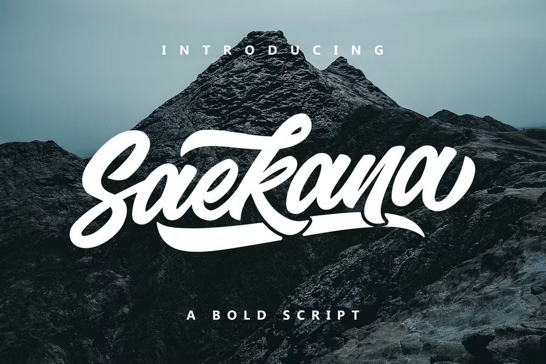 Saekana Script Stylish Swash Font