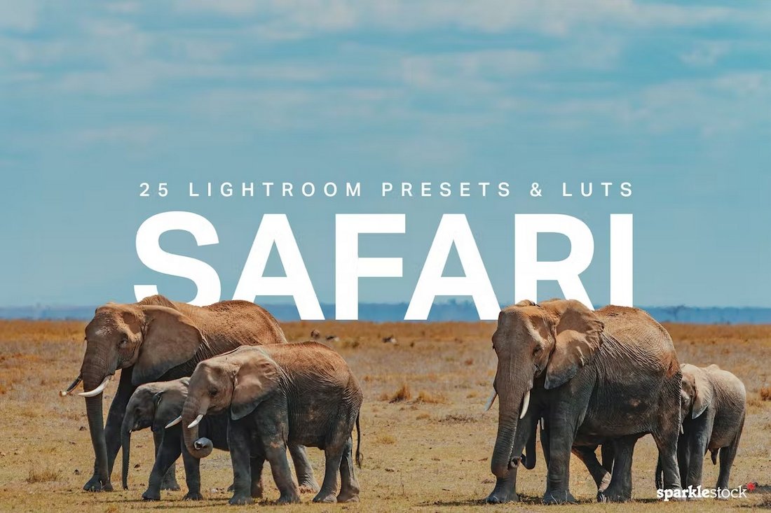 Safari - 25 Travel Photography Lightroom Presets