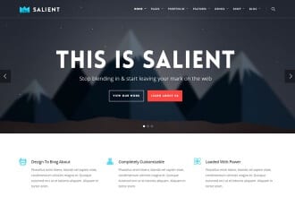 Salient WordPress Theme