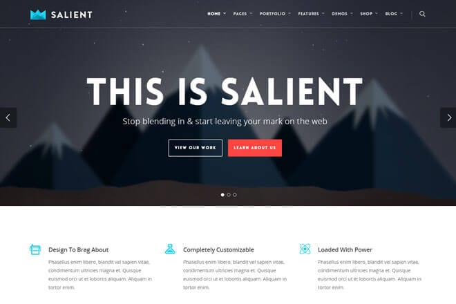 Salient WordPress Theme Review