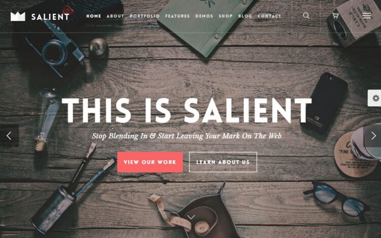 Salient WordPress Theme Review Agency Ascend Demo