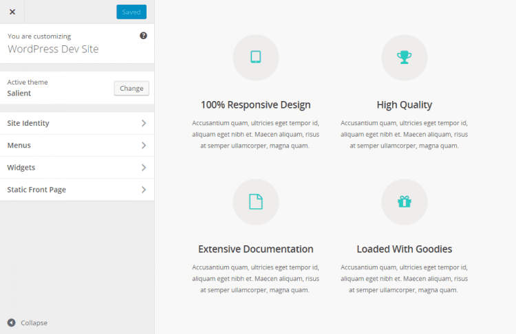 Salient WordPress Theme Review Customizer