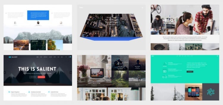 Salient WordPress Theme Review Demos