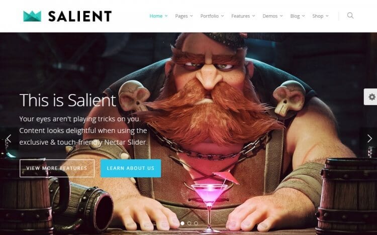 Salient WordPress Theme Review Homepage