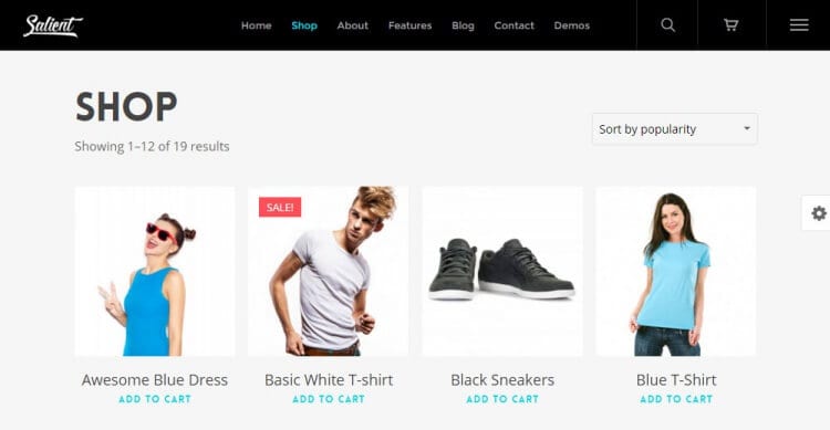 Salient WordPress Theme Review Shop Demo