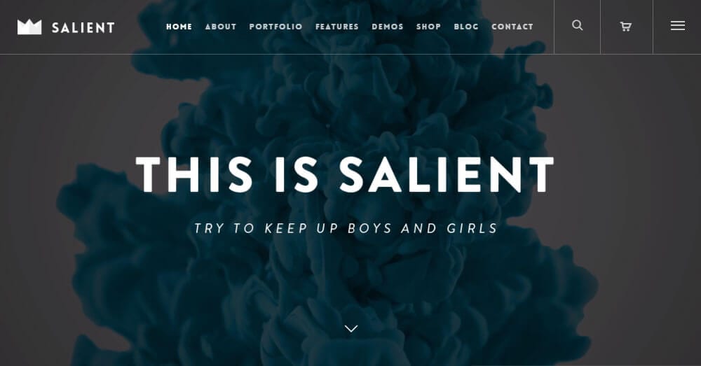 Salient WordPress Theme Review