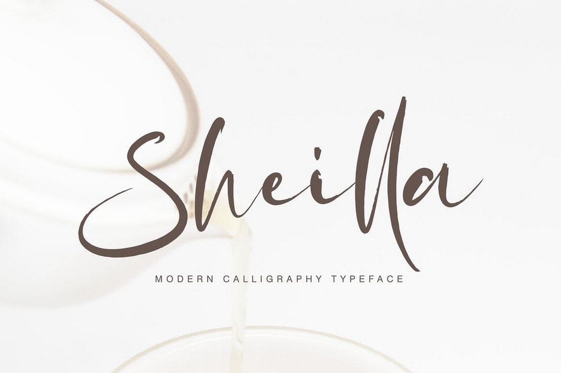 Sheilla - Handwriting Calligraphy Font