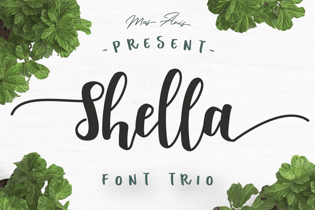 Shella - Free Script Font Trio