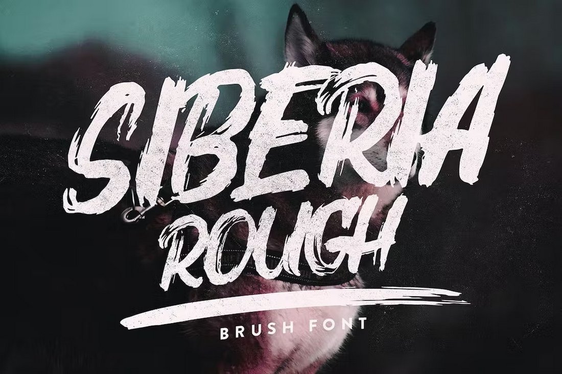 Siberia - Rough Paint Brush Font