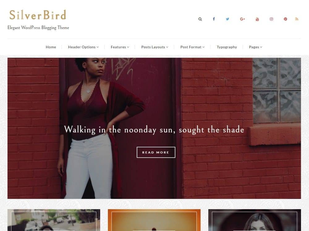 SilverBird - Free WordPress Photography Theme